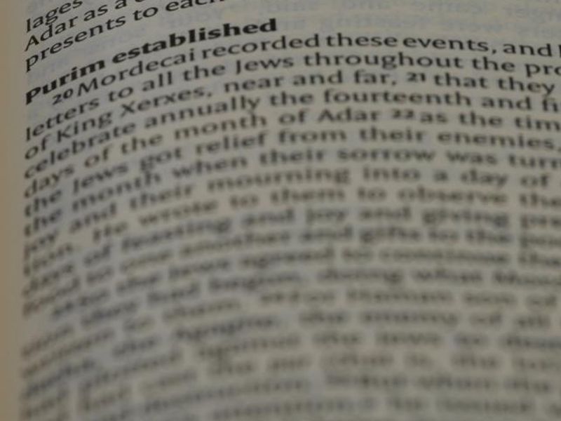 Legal terms: For traffic and criminal offenses - Mexican Spanish lesson